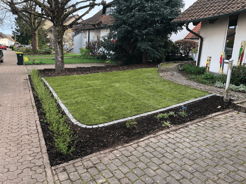 Bild 5